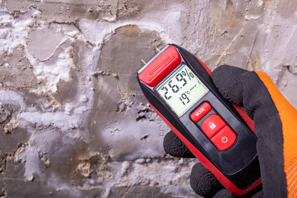  Meridianville, AL Mold Removal Pros