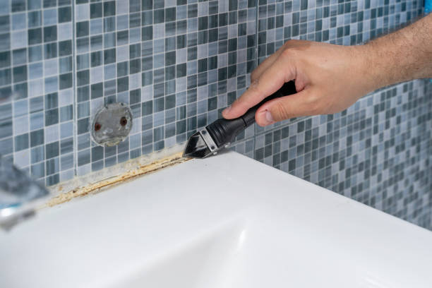Best Post-Flood Mold Remediation in Meridianville, AL